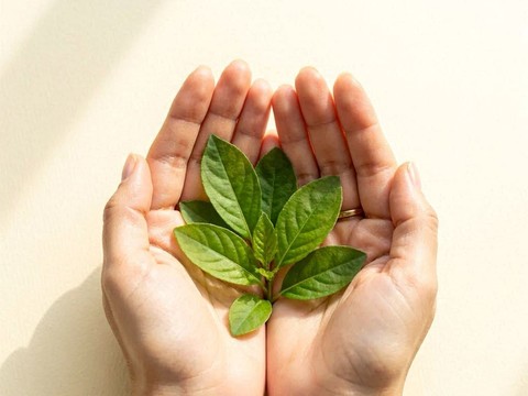 Fórmula limpia de origen vegetal